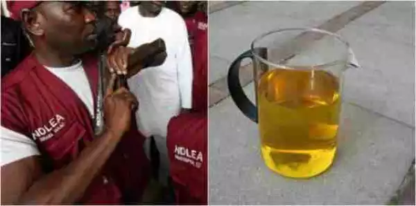 After The Ban Of Codeine, Youths In Adamawa Now Drink Human Urine To Get High – NDLEA